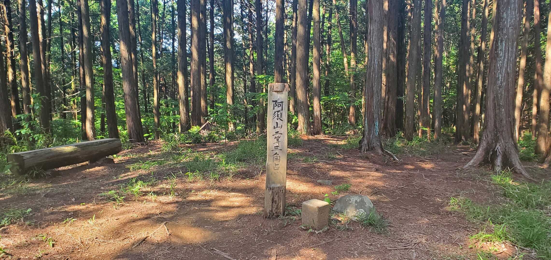 阿須山の写真