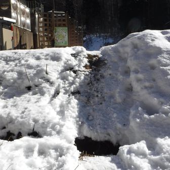 最後のちょい登り
※まだまだ雪少なし・・・