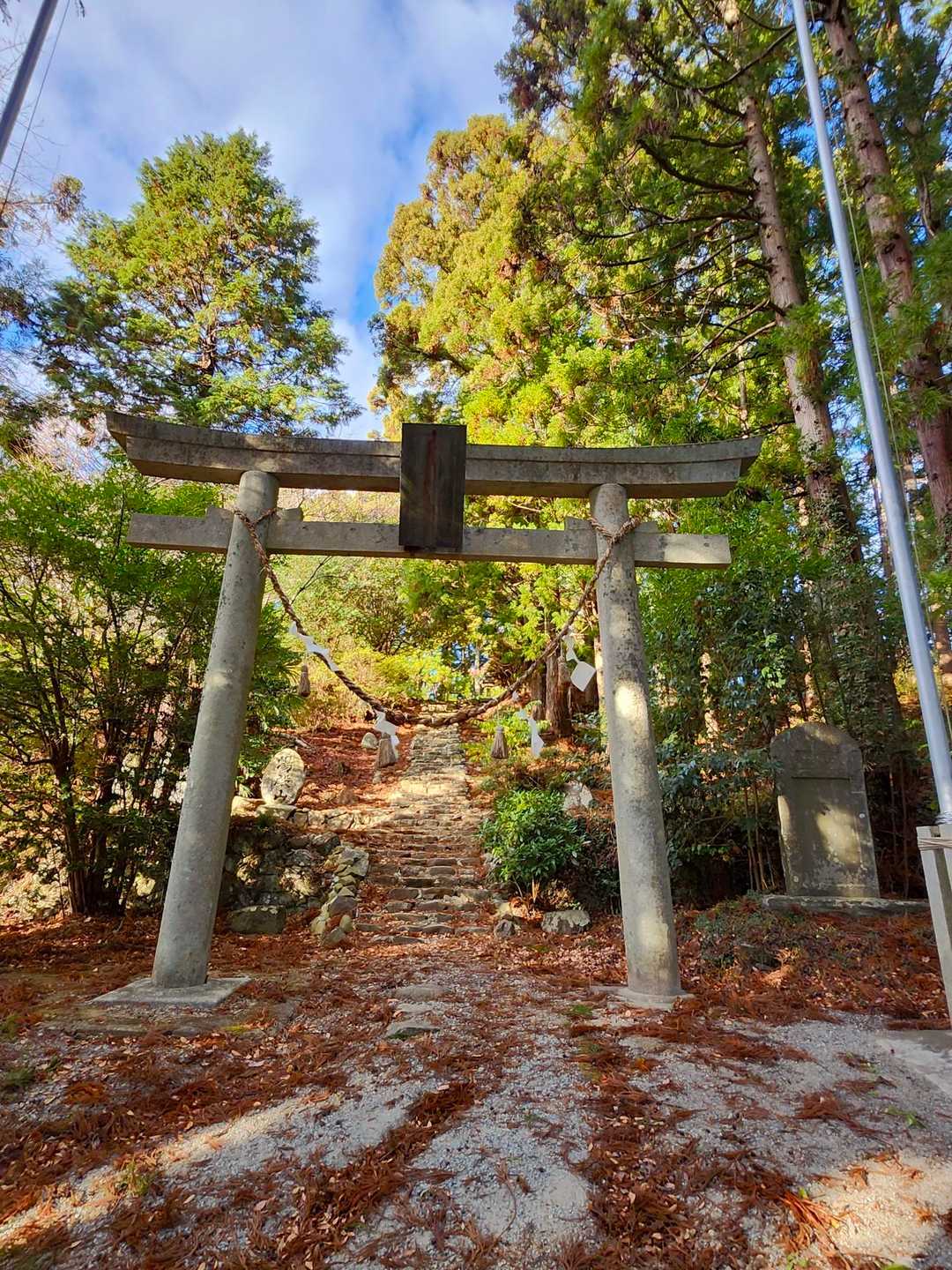 鳥越峠-お別れ峠-鷹討山 縦走コースの写真