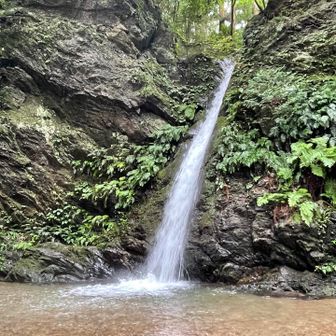 宿谷の滝。
水量増量でいつもより良いかも！