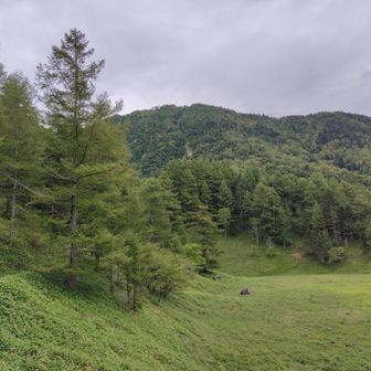 振り返って歩いてきた道と景色💚