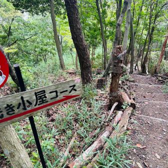 下山はこちらのコースへ