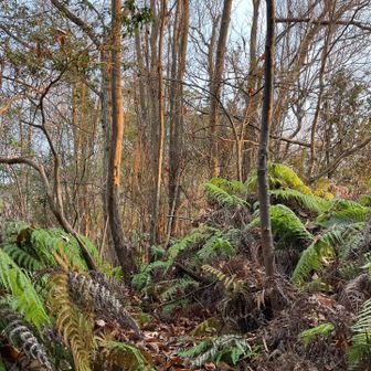 日が差し込んできました
