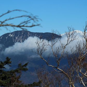 それでも、ズームイン！