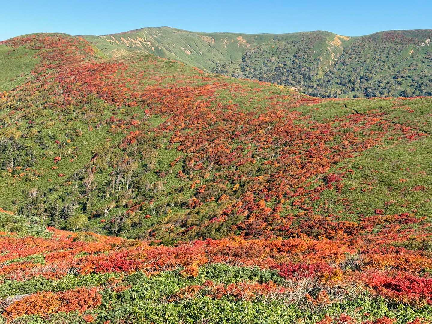 紅葉が小畚山まで帯のように
