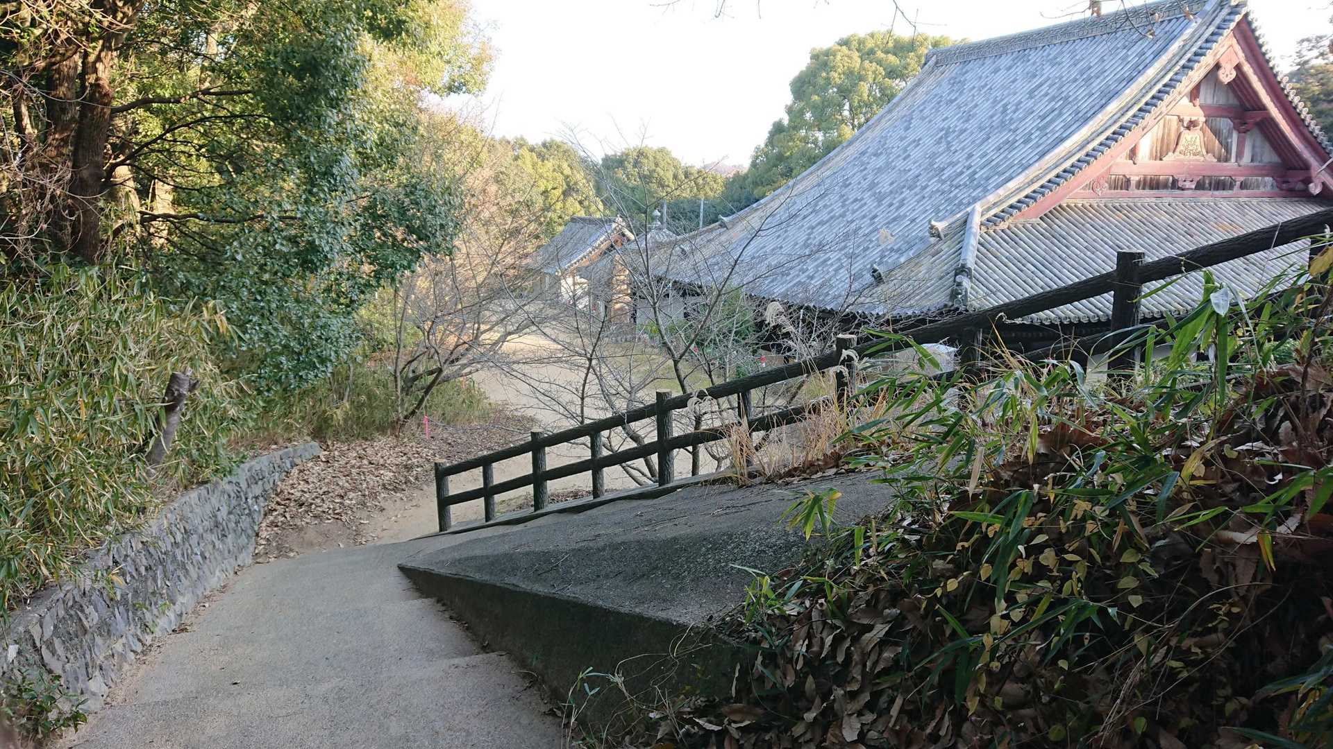 太山寺本堂の裏まで
戻りました。
楽しい道でした。