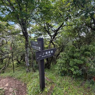 表尾根との分岐