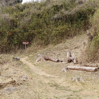 いよいよ山頂。主郭跡への登り。