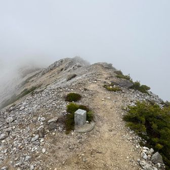 シモフリ山山頂到着。
標識は無くて三角点のみ。
眺望は皆無…