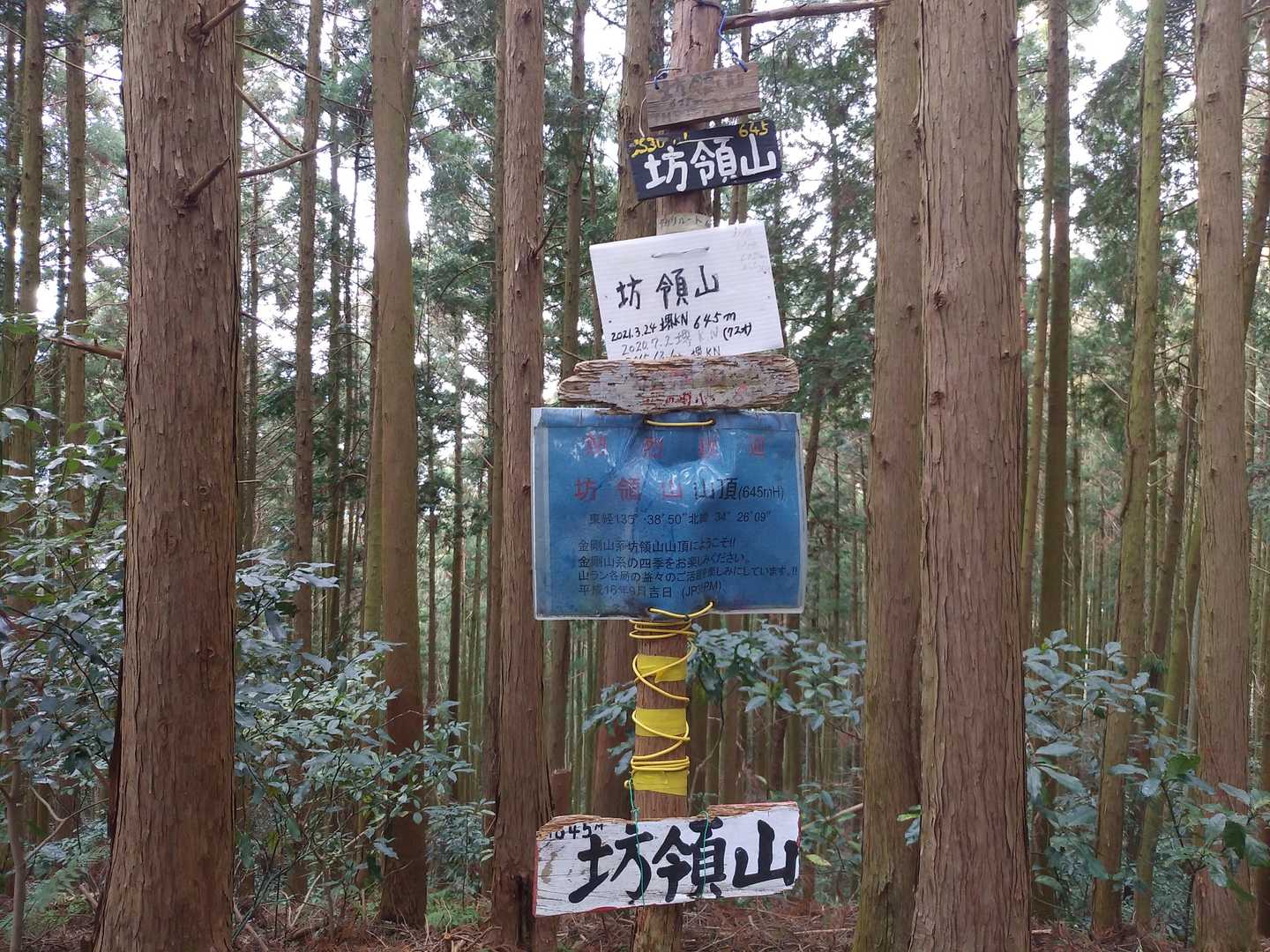 到着🤗
引き返しますヽ(´ー｀)ノ