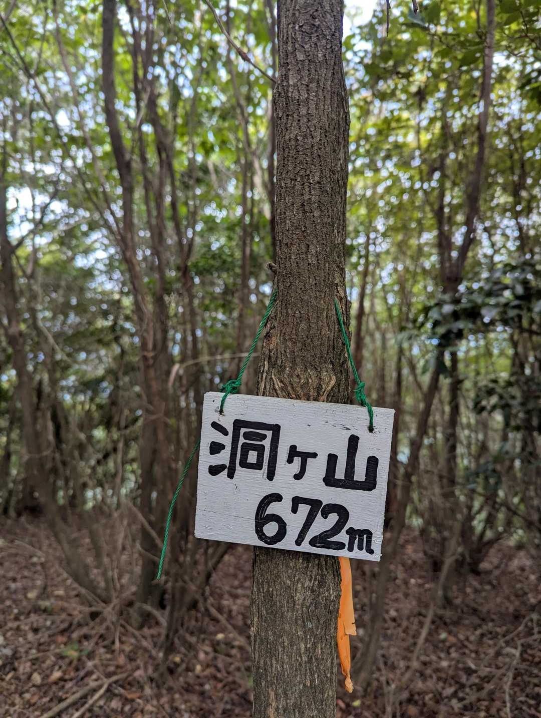 １つ目  ピークと言うより通過点
ひたすら薄暗い森を進みます
ちなみに手前は激登り😵‍💫