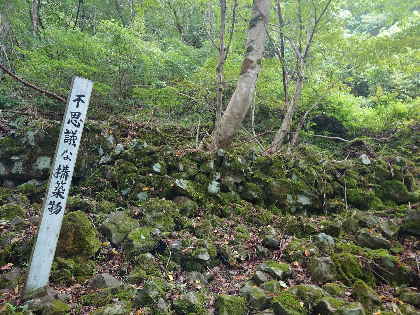 言い伝えが無いのでしょうか。🤔
