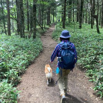 木陰が多くて快適^_^