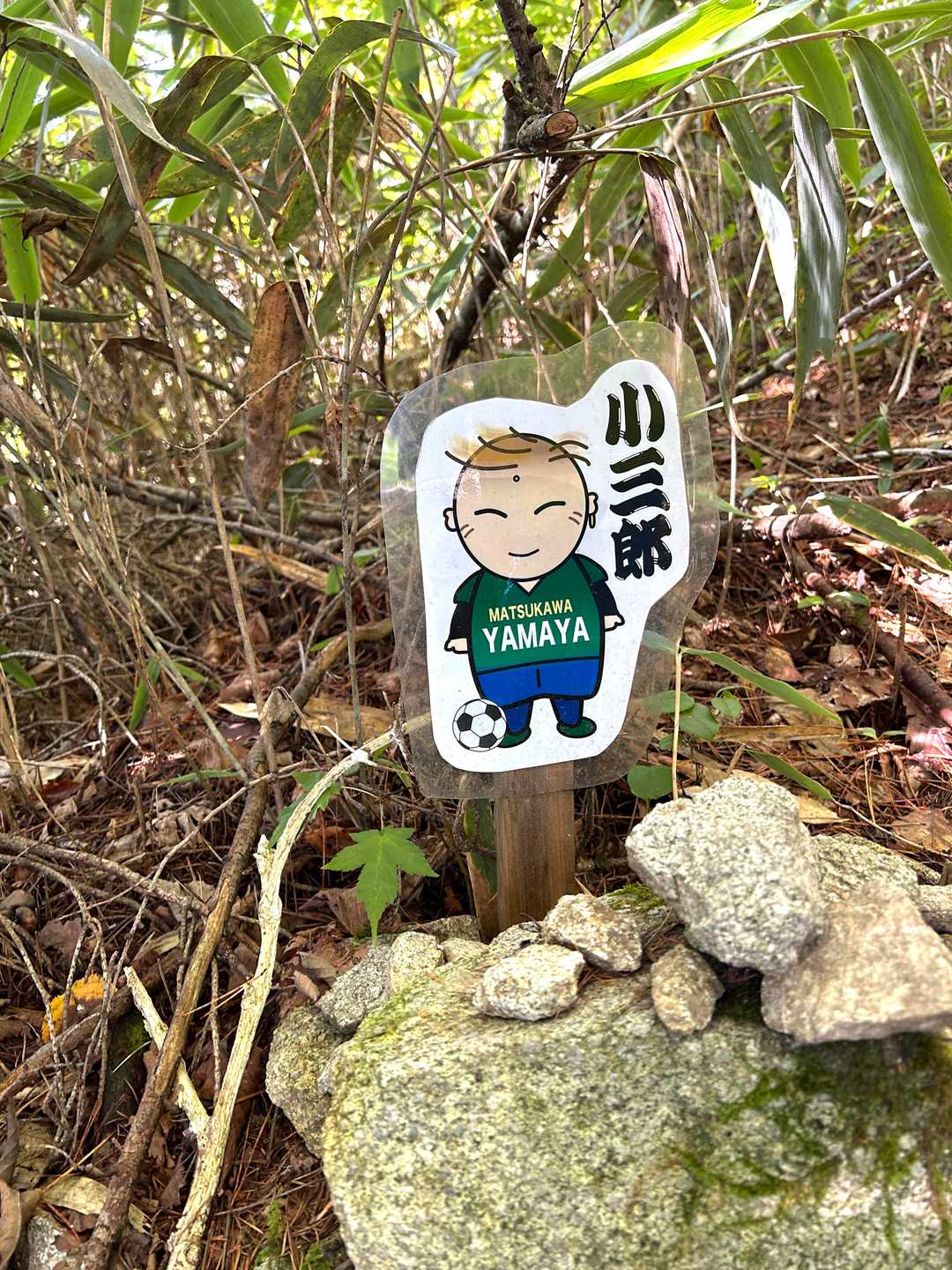 松本山雅のパロディ❓