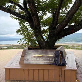 パノラマ台でもまだ曇り空　