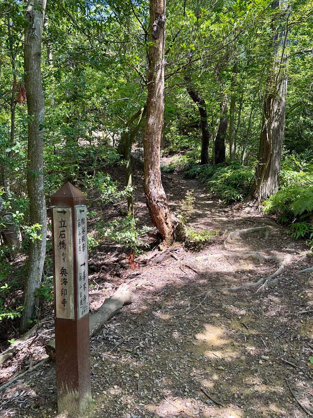 今日は西山古道の一部を歩いています
立石橋から奥海印寺への分岐まで来ました