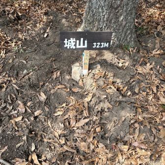 城山山頂別にあったのね。
城山登頂！322m。