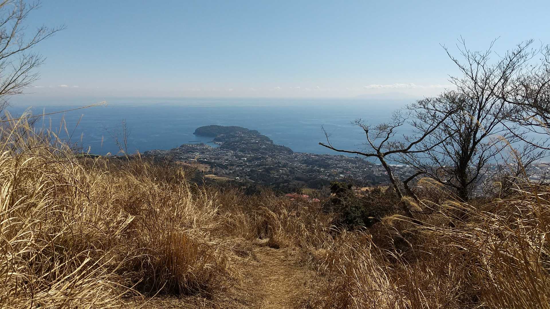 ちょっと先に進むと、眼下に広がる真鶴半島と海～！ 今日一の絶景です。