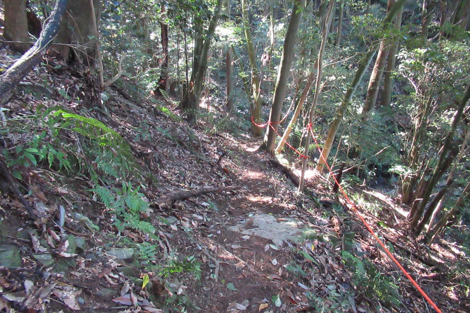 登ったかと思うと沢に下って行きます🥴