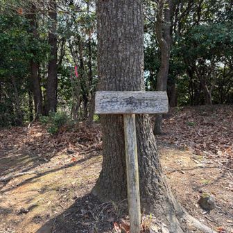 安見ヶ城山⛰️