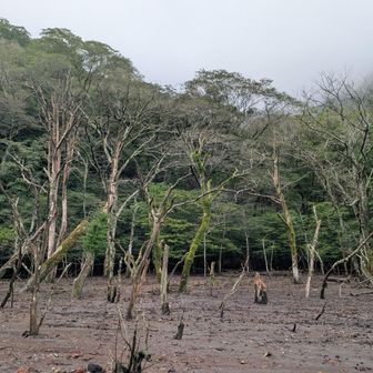 空はやはりガスガス、諦めて引き返す😌