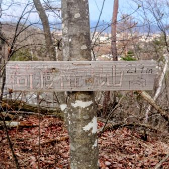 ここまでで3座🚶‍➡️
荷渡権現山（ﾆﾜﾀﾘｺﾞﾝｹﾝ）:219m
木々の隙間から山形市内が見える🔭