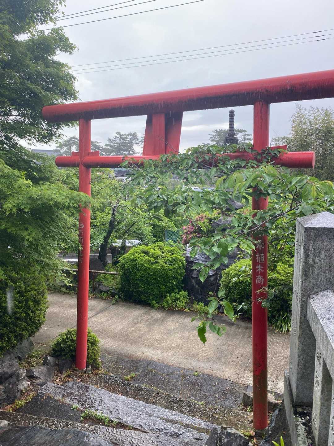 正一位稲荷大明神-香色山 往復コースの写真