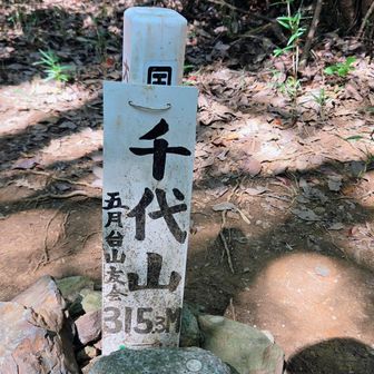 少し行ったところにも
千代山　315.3メール
