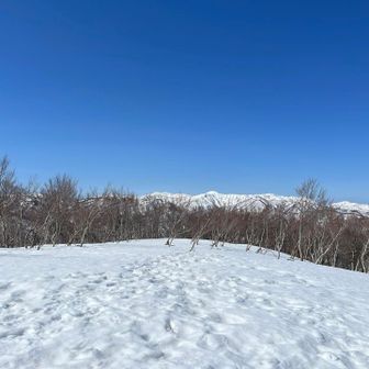 片折岳に到着。