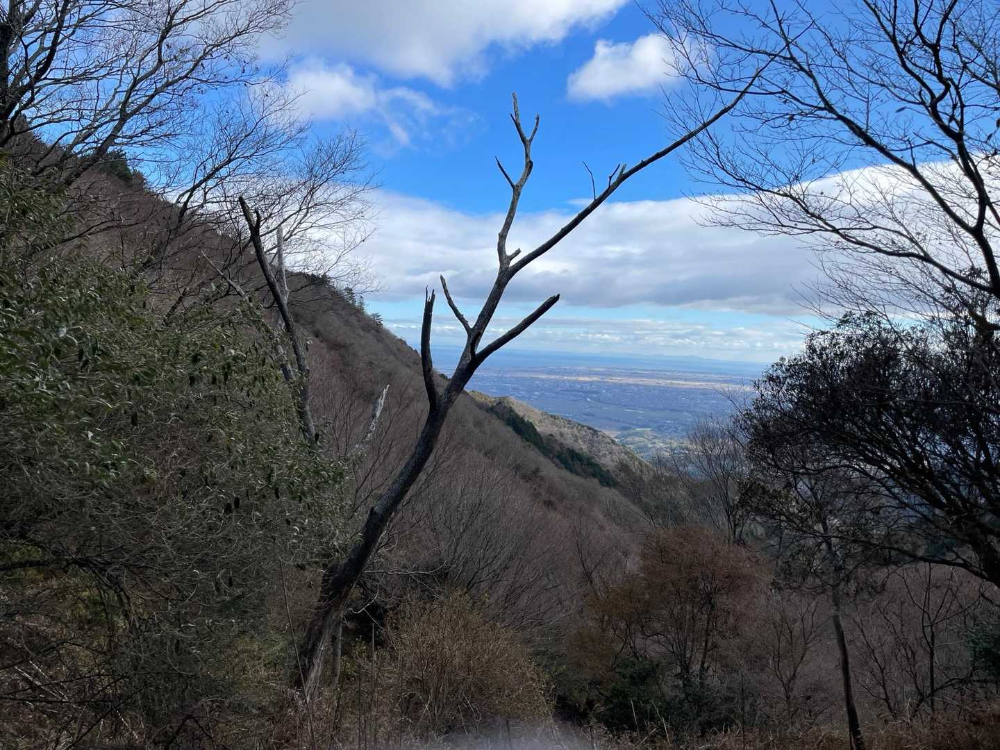 堀坂峠-堀坂峠の高-観音岳 往復コースの写真
