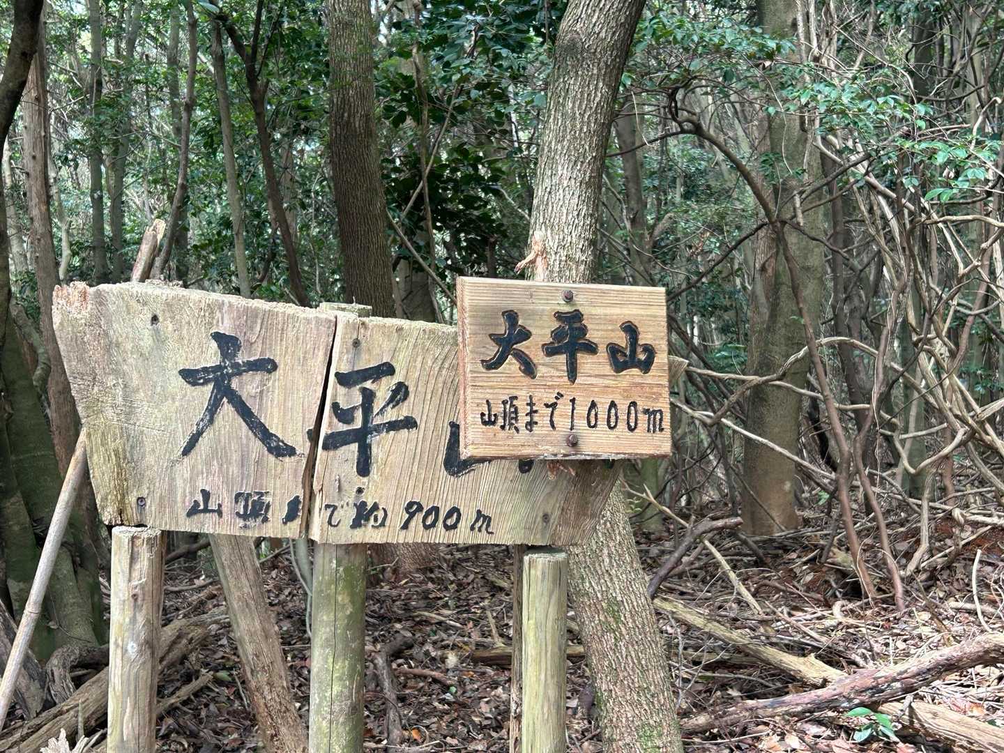 あと1000m😊