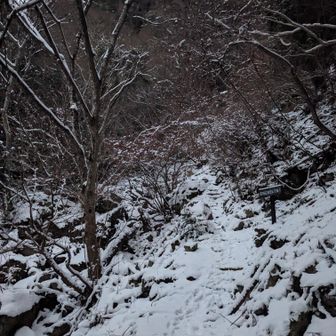 道中はこんな感じ、チェンスパがあったら安心