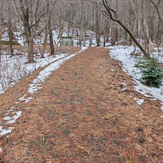 出だしはほぼ雪なし