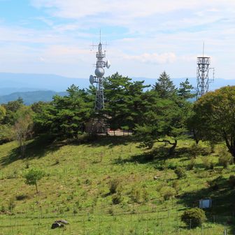 とても広い頂上