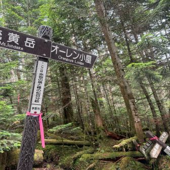 もうすぐオーレン小屋。
雨☔よ、降り出さないでちょーだい🥺