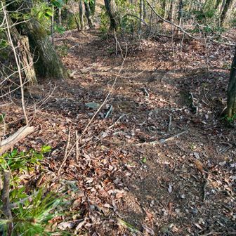 城ヶ峰山頂を後にし、その先の展望ポイントに向かいます。