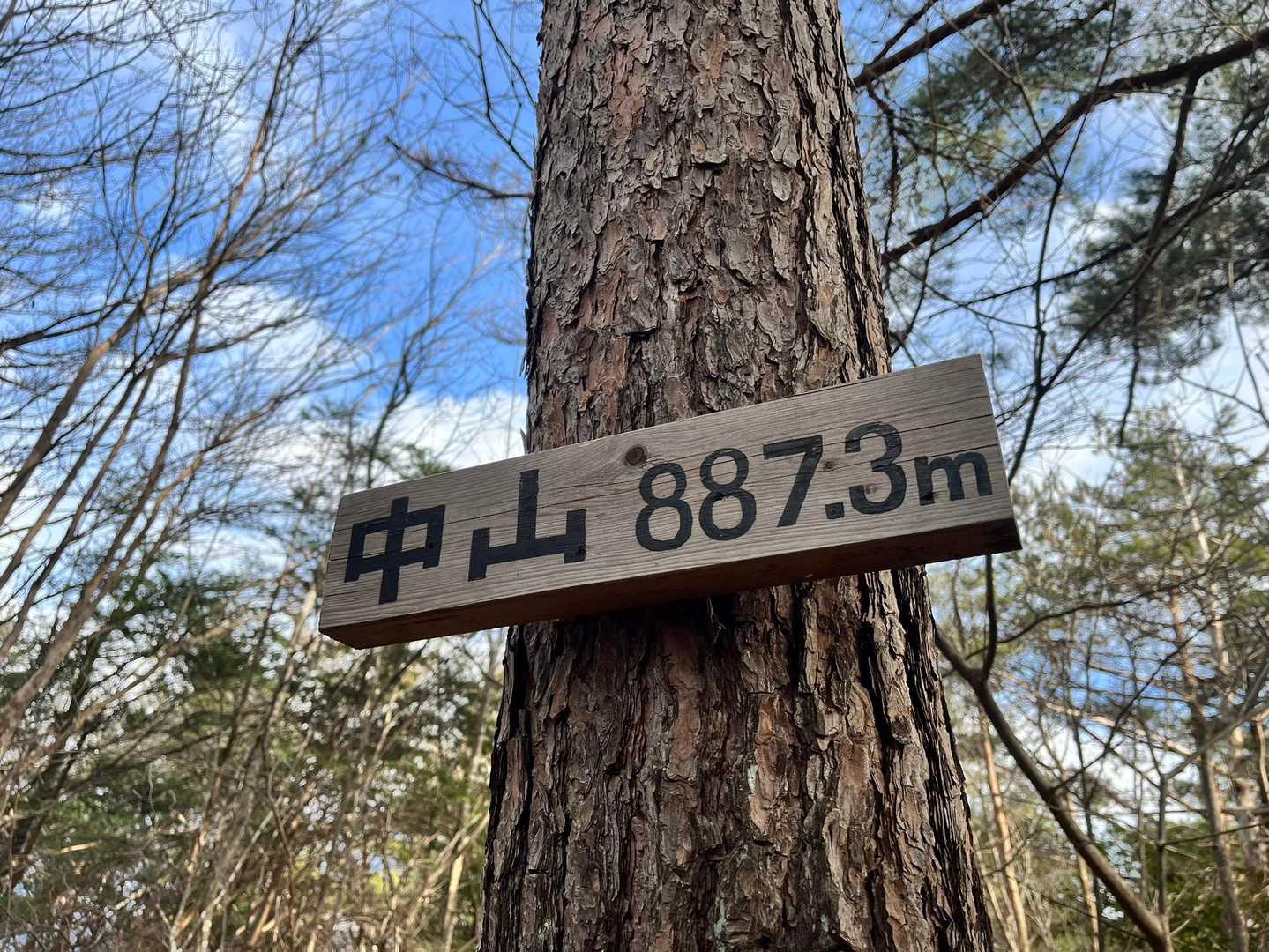 中山峠-中山 往復コースの写真