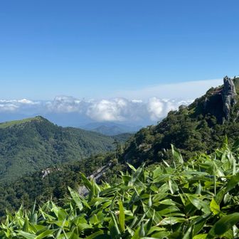 山頂からは、もしかしたら大山見えたのかな？ってくらい晴れてた☀️