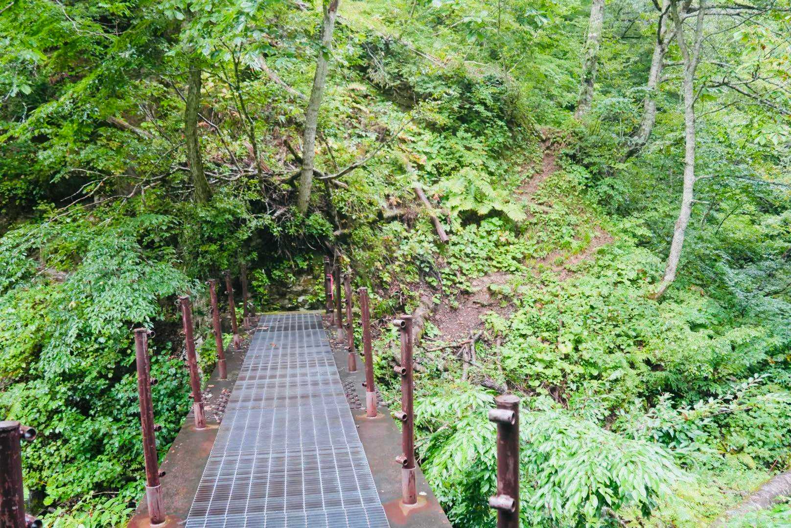 赤湯温泉道入口-苗場山 往復コースの写真