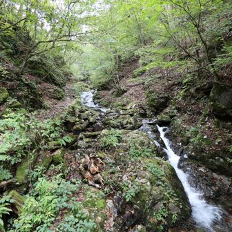 大滝を過ぎても沢沿いの路は続く