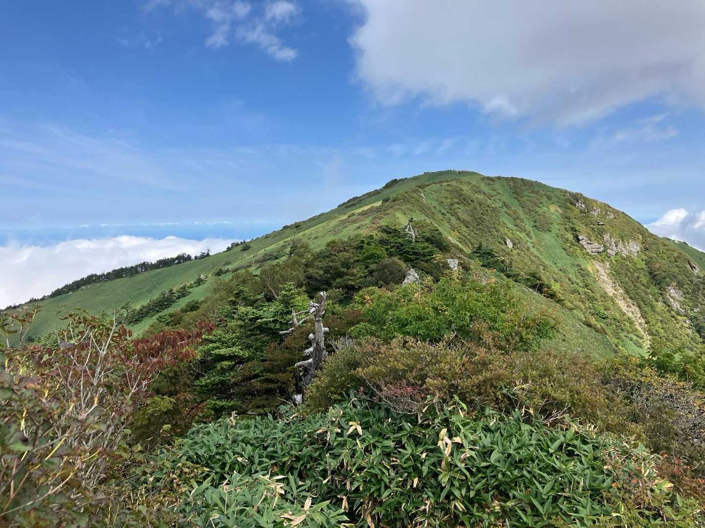 瓶ヶ森登山口発着｜四国最高峰を眺望する瓶ヶ森 周回コースの写真