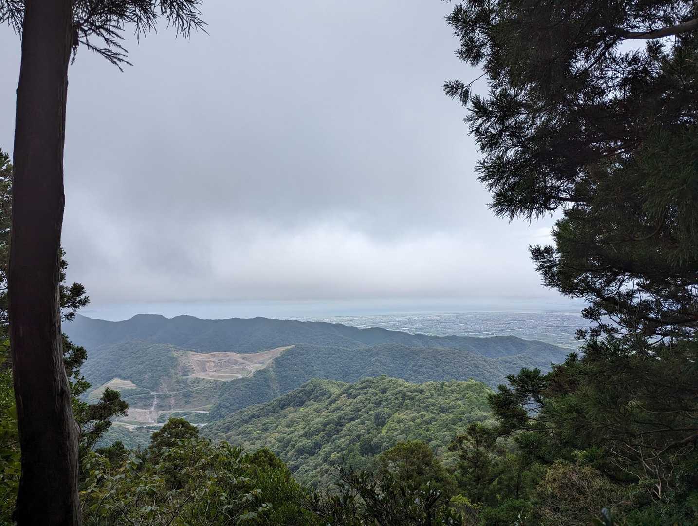 大麻山 往復コースの写真