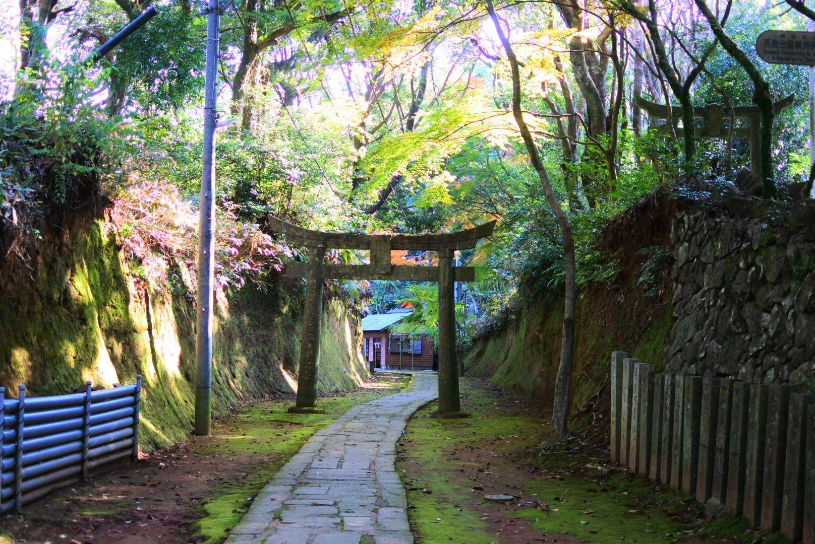 金比羅神社-金比羅山 往復コースの写真