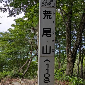 行くしかないよな😁って✌️
降りてまた登って荒尾山🌿