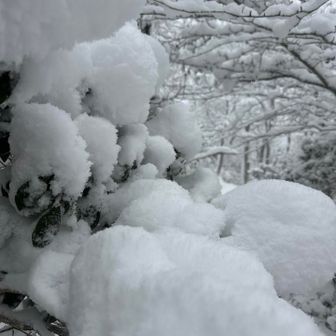 飲み物忘れた😱

適当に雪を食いながら行動
え？水分補給これで良くね？
と新しい発見💡
😂😂😂