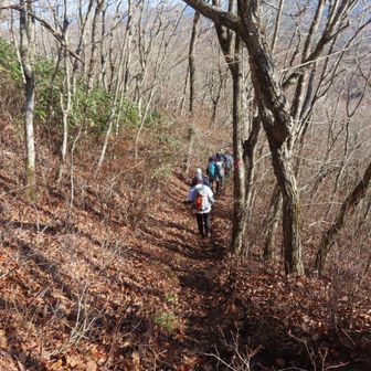 下りはなだらか