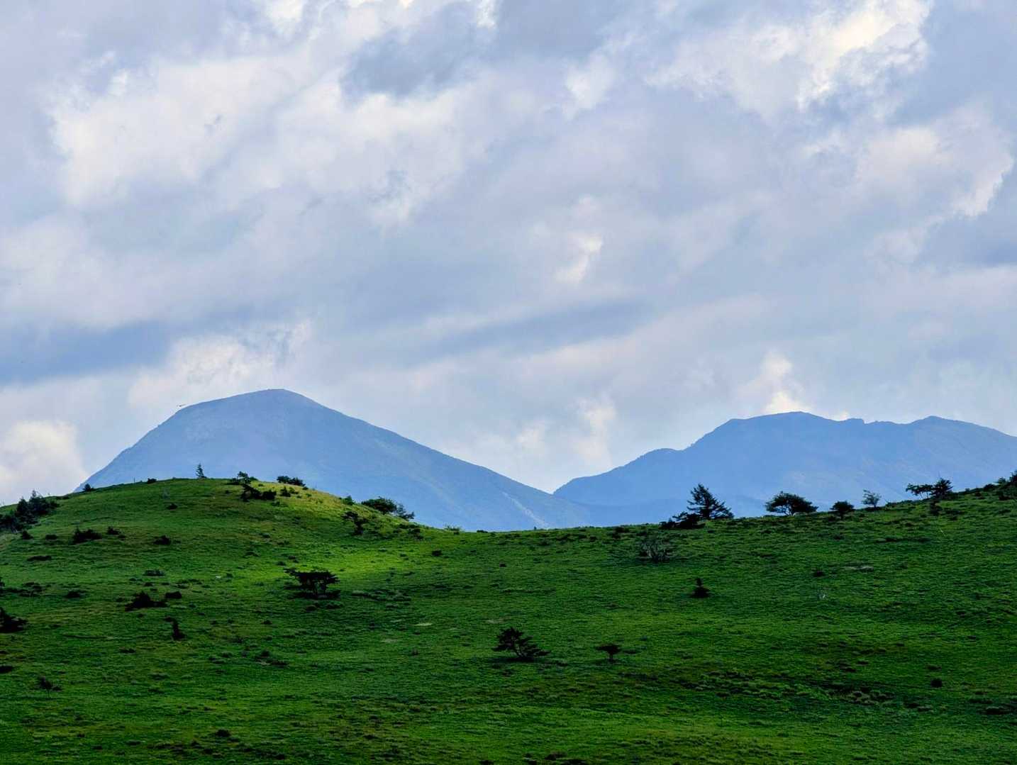 八島湿原バス停-八島湿原入口-霧ヶ峰湿原植物群落-男女倉山 周回コースの写真
