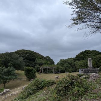 藤棚があるから6月らへんも良きかも