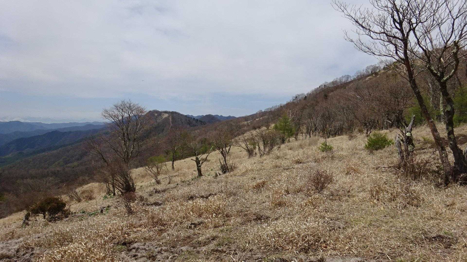 開けて気持ちが良い✨