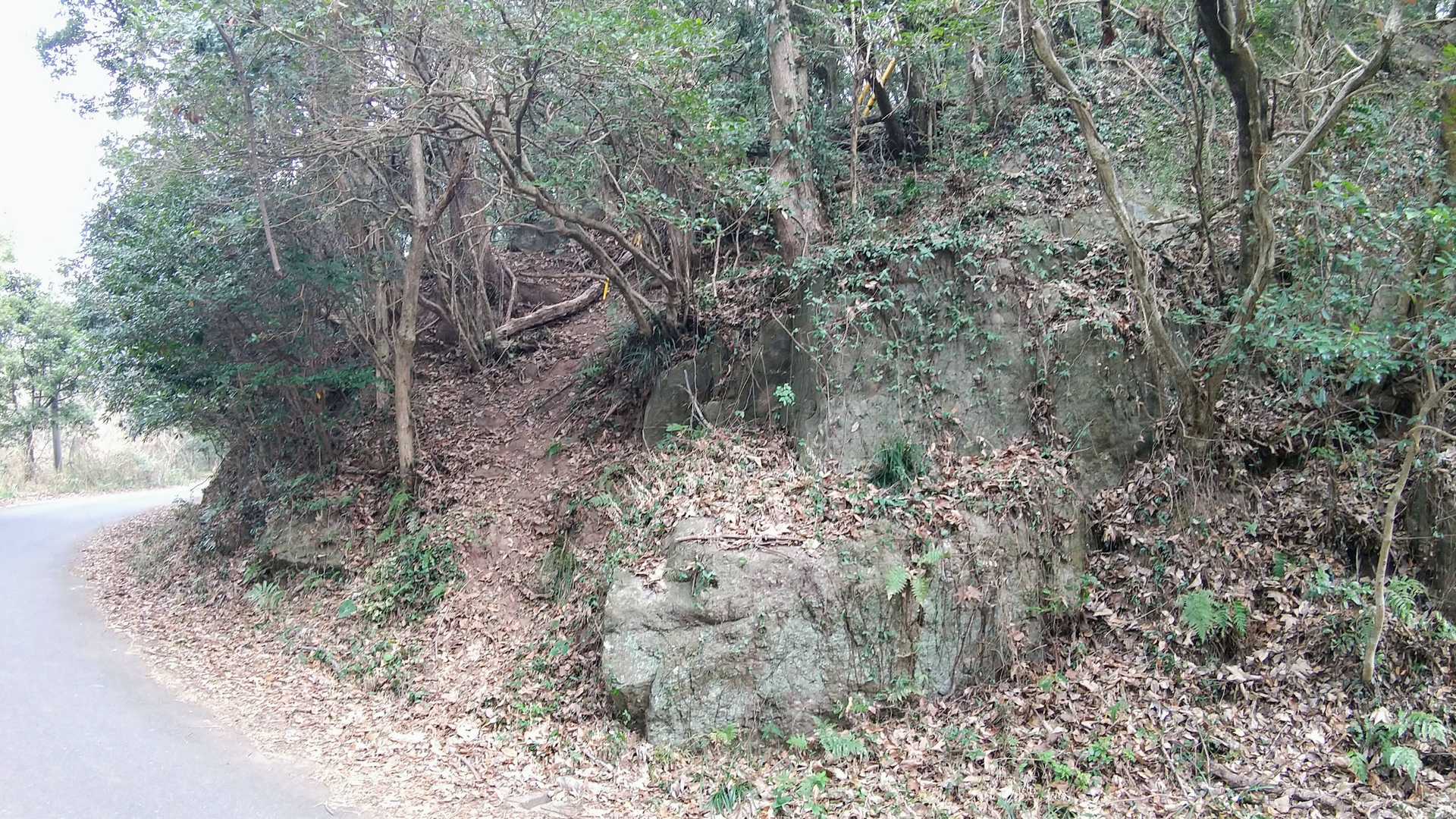 再び市道を横切る、ここは正規ルートじゃなかった
帰りに気付いた